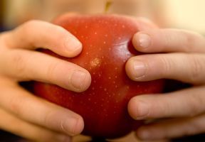 Apple wedges are offered as a side dish 
